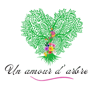 un amour d'arbre
